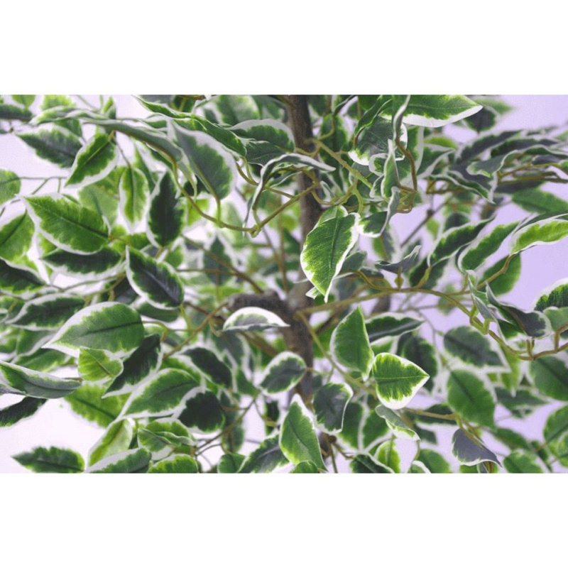 100cm Faux Ficus Plant in Pot Liner