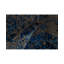 Oriental Area Rug