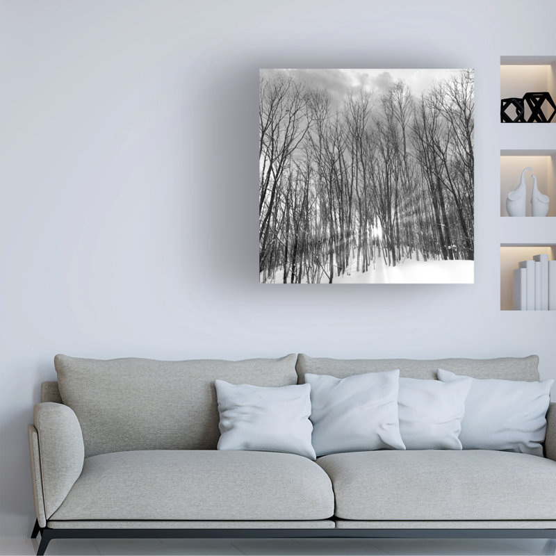 Art mural sur toile tendue - "JP1018_AB" par Alan Blaustein pour décoration de salon, de chambre à coucher ou de bureau - 24 x 24