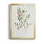 Toile encadrée simple Sprig IV de qualité supérieure - prête à être accrochée-1831562008-1831562009