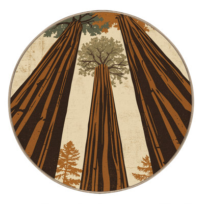 Tapis noir moelleux et moelleux au look rustique rétro Redwood Country