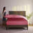 1800 Series Double-Brushed Microfiber Hypoallergenic Sheet Set-22057757-61322262