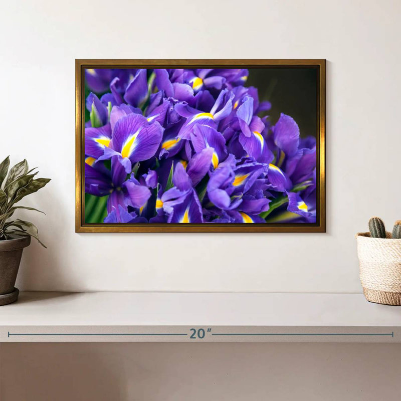 Violet iris, Cadre flottant doré, 13 po x 9 po