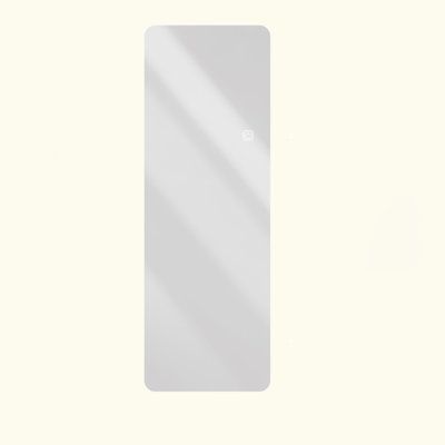 65X21in Full Body Mirror With Lights Full Length Mirror Wall Hanging Type Suitable For Bedrooms, Dimming And 3 Color Lighting
