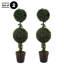Primrue Set of Two 36-Inch Topiary Trees