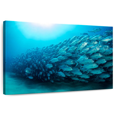 Crowle School Of Bass