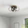 22" Evaro 3 - Blade Caged Ceiling Fan with Light Kit Included