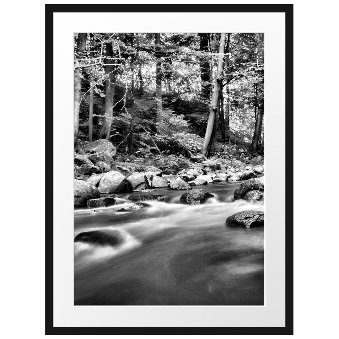 Gerahmtes Poster Fluss im Wald mit Steinen