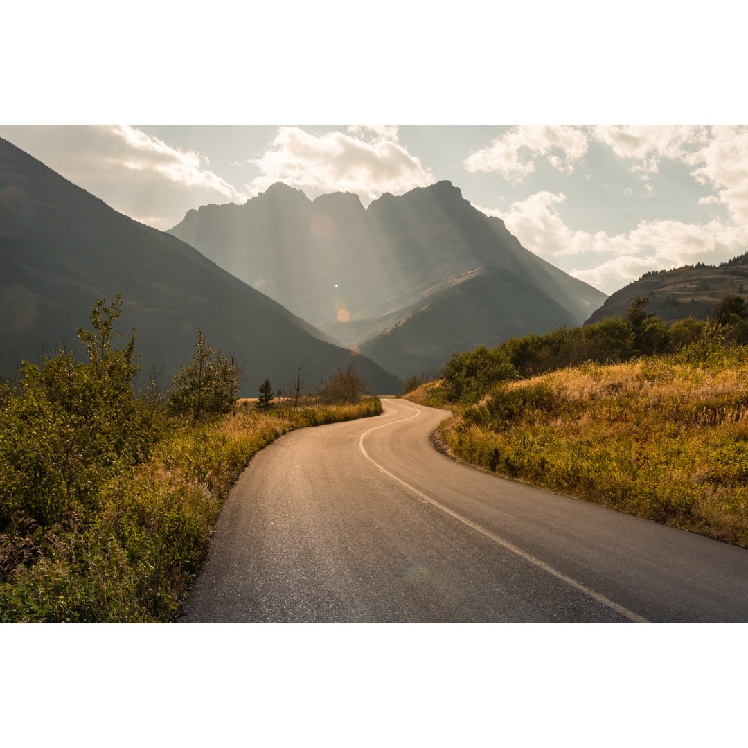 Straße durch den Waterton National Park, Alberta, Kanada von Wildroze - Druck auf Leinwand ohne Rahmen