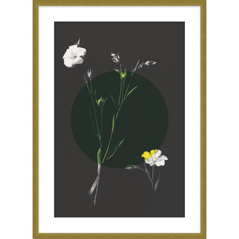 Color Burn Blossom 1 Print by Studio L57 Schemata, 22.25" H x 18.25" W