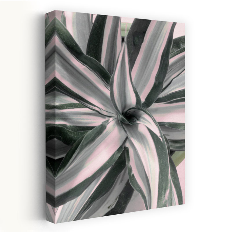 Rayures, photographie florale et botanique, art numérique, art abstrait, contemporain, H 24 po x l 16 po