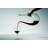 RIEDEL Amadeo Decanter