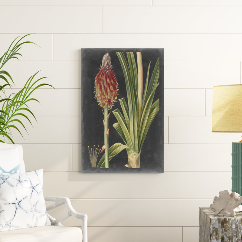 Dramatic Tropicals IV, H 36 po x l 24 po x P 1,25 po