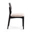 Modern Brazilian Beth Side Chair-965321392