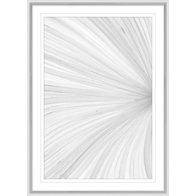 Dharmas 2 Print by Mat Sanders