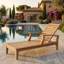 Brianna Outdoor Teak Chaise Lounge