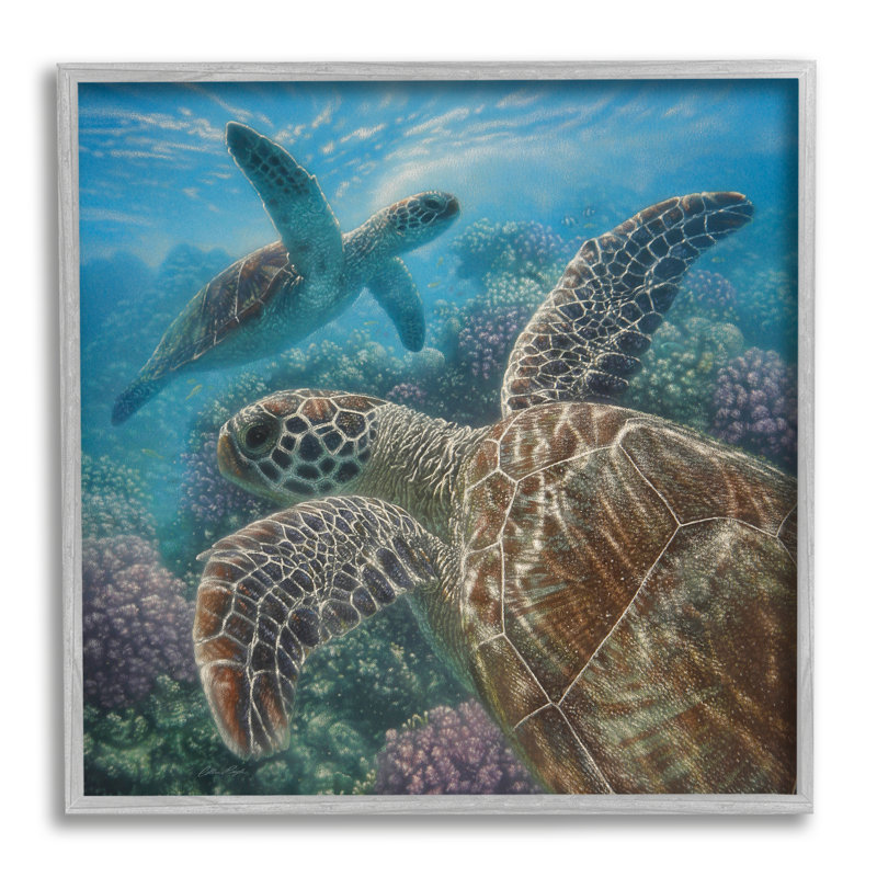 27, paire de tortues de mer, récif de corail, art de la vie sur toile tendue par Collin Bogle, H 24 po x l 24 po x P 1,5 po