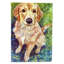 Drapeau de jardin Chouest Golden Retriever Patience