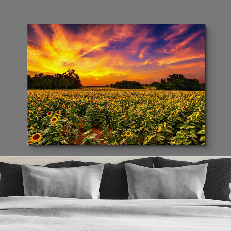 Sunflower " Countryside Sunflower Field Sunset ", 32'' H x 48'' W