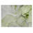 Alfonzo Washable Abstract Indoor / Outdoor Rug-597546340