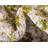 Estelle Abstract Indoor Rug-61868648