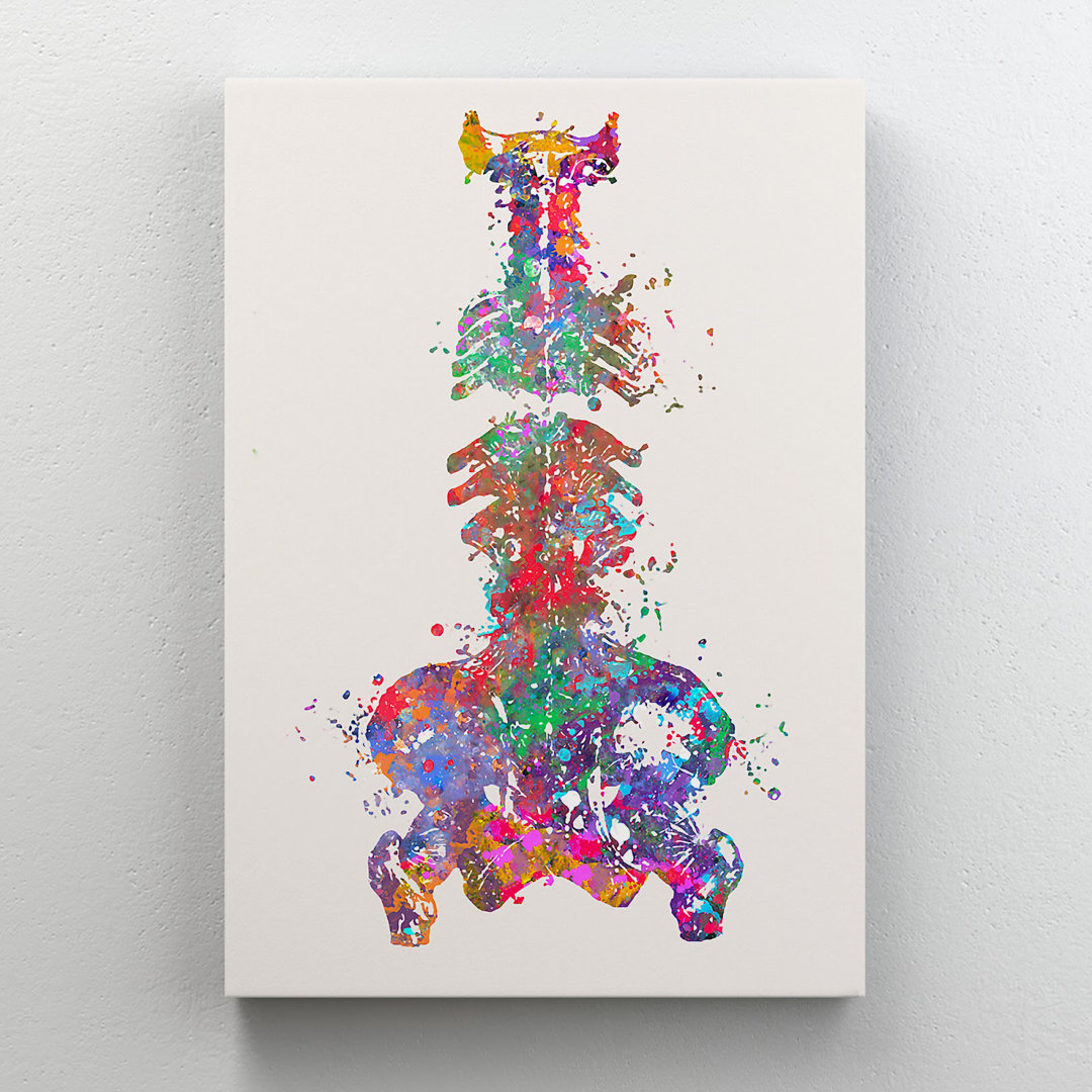 Colorful Spine And Pelvis Art - 1 Piece Rectangle Graphic Art Print On Wrapped Canvas Orren Ellis 