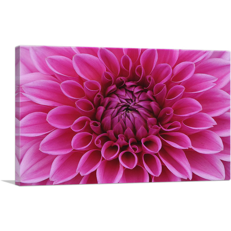 «Dahlia Flower Home Decor», reproduction de photo sur toile tendue, H 12 po x l 18 po x P 0,75 po