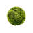 Jayceon 4" Real Preserved Cockscomb Topiary Decorative Orbs – Set of 3