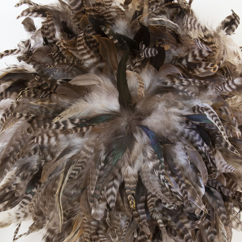 Feather Wall Decor