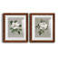 Magnolia botanique - ensemble de 2 reproductions d'art-866272718-866272743-866272758