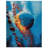Giersz Performance Galaxy Blue/Yellow/Red Indoor&Outdoor Multi Area Rug-1259618970