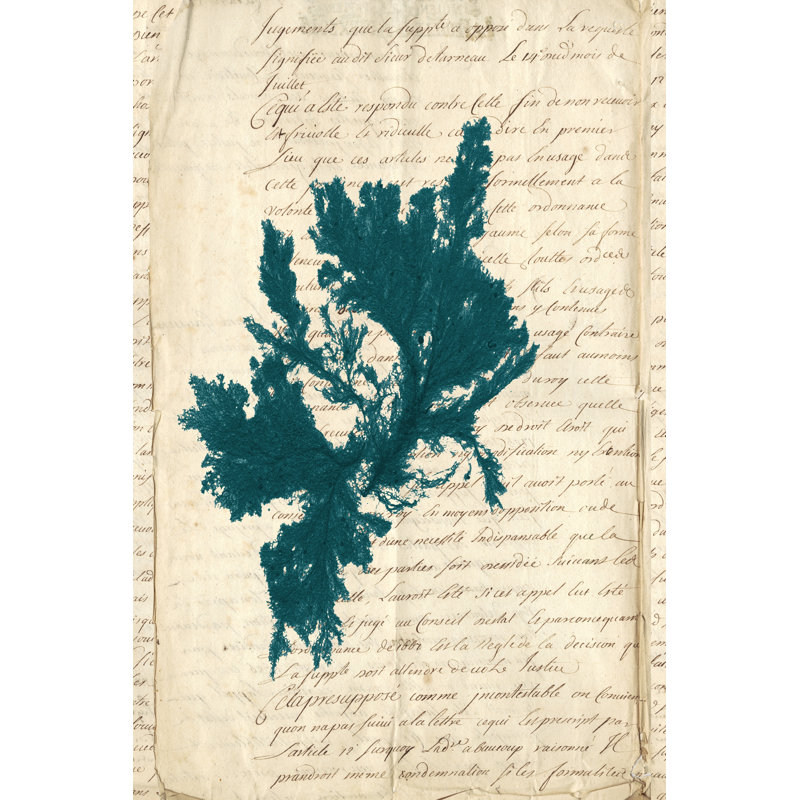 Vintage Teal Seaweed IV by Vision Studio - Wrapped Canvas Painting, 46cm H x 30cm W