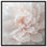 Art délicat et délicat sur toile I Flower par Art Remedy