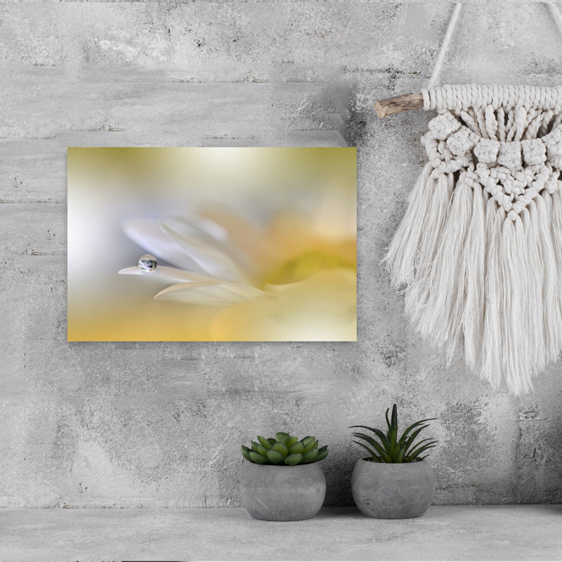 Morning Dewdrop Daisy Delicate Ethereal Serene Daisy Flower Nature Wall Art Print 1 Piece Wrapped Canvas Wall Art