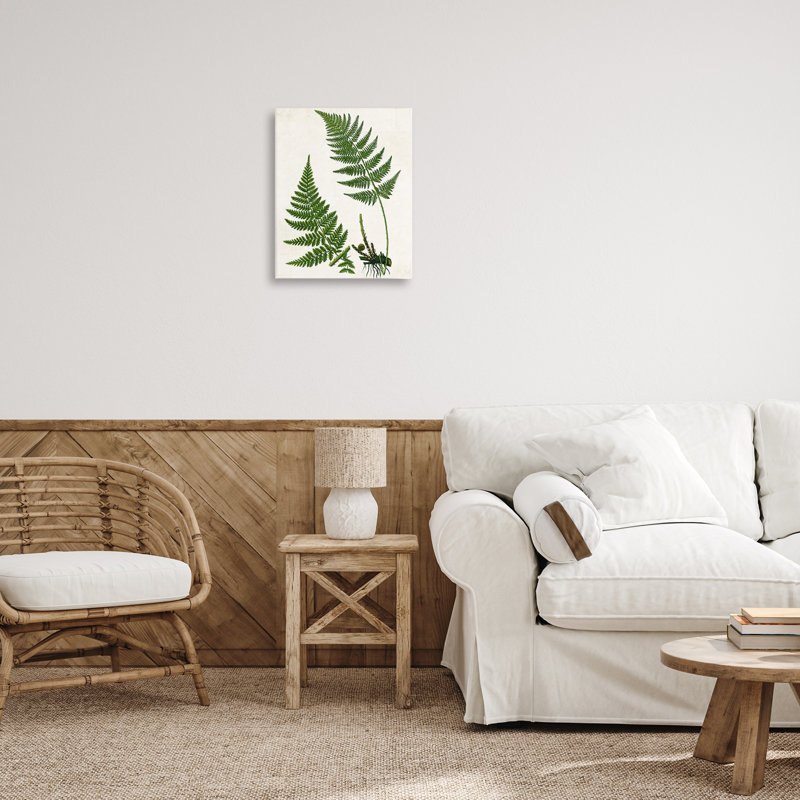 Art mural sur toile "Deux fougères" par Susan Arnot bp-693_CN, H 20 po x l 16 po