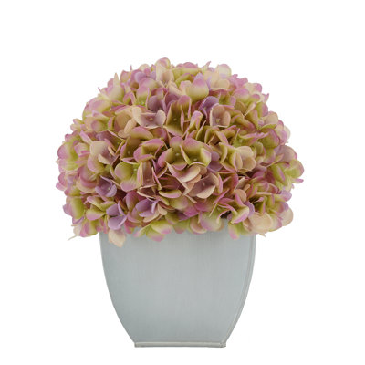Arrangements floraux d'hortensias en pot