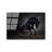 Elegant Decorative Tempered Glass Painting, 19.7 x 27.6 Inches | 100% Tempered Glass, Thickness: 0.16 Inches | Perfect for Home Decor, Living Room, and Office | Stunning Art Piece with Modern Aesthetic