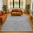 Premium Machine Washable Ashlynn Border Rug-837088315