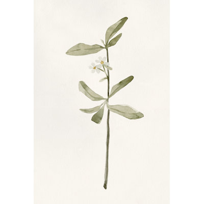 Early Blooms II by Emma Caroline - Painting