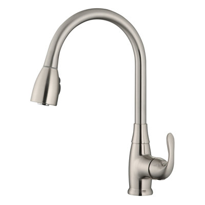 New Spec Inc Ruslip Kitchen Faucet