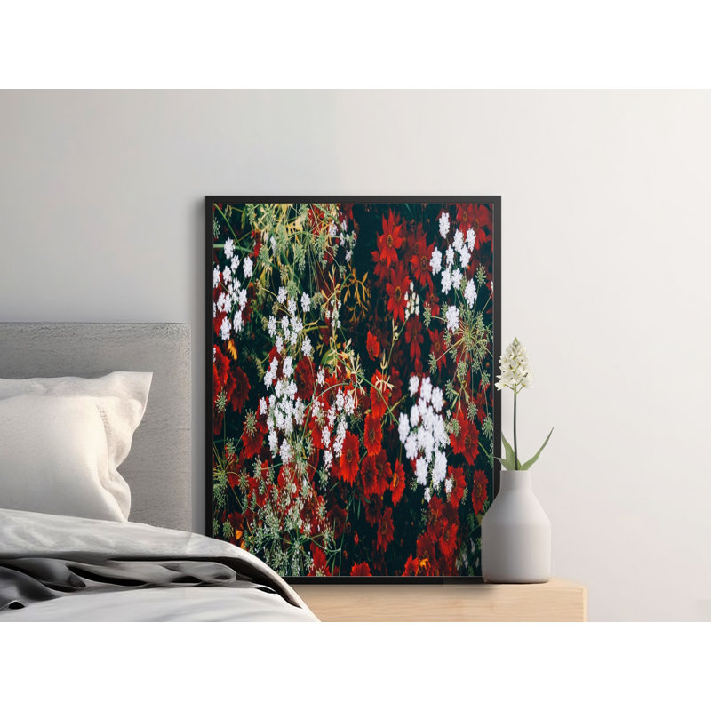 Wilkin No Frame Print, 16x20