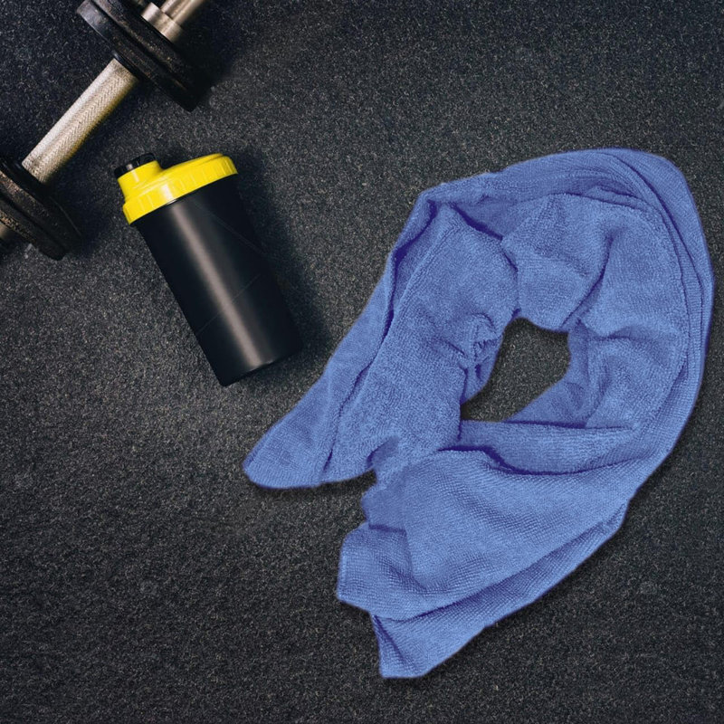 Microfiber Fast Drying Guest Towel, Blue, 4