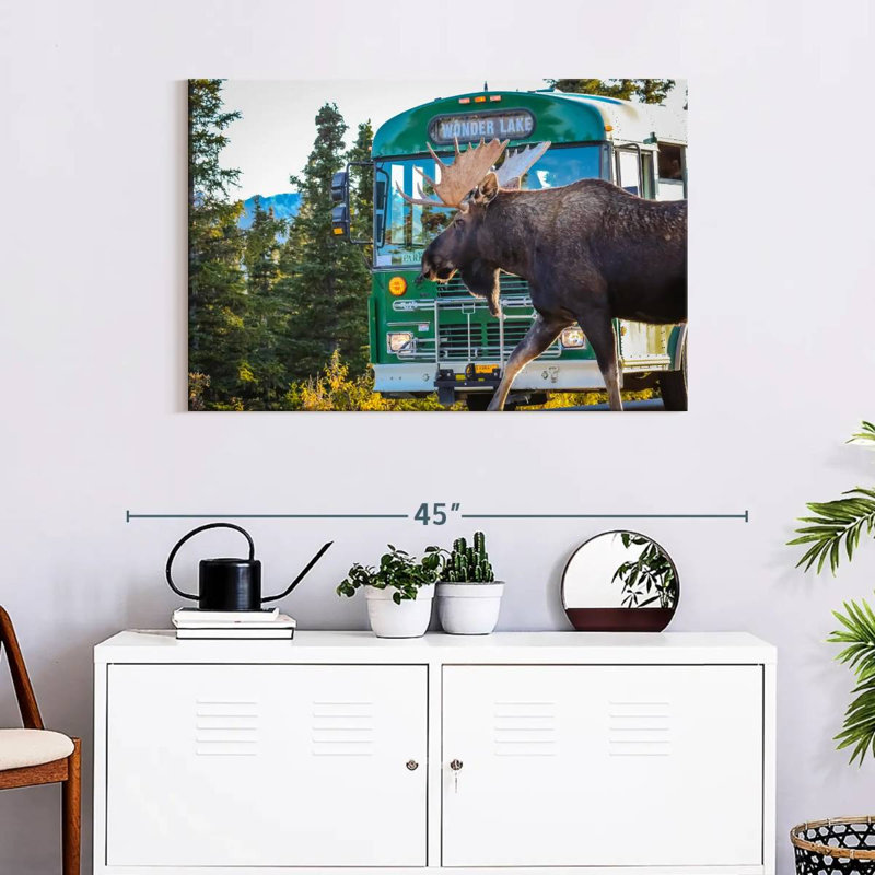 Crowle Denali Moose, 24" H x 36" W