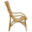 Monet Outdoor Lounge Chair