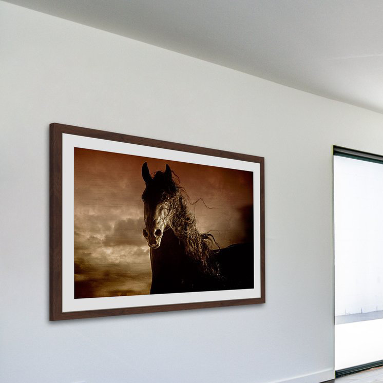 Melanie Snowhite - Single Picture Frame Print, 61cm H x 91cm W x 3.81cm D