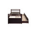 Lit simple avec tête de lit solide et lit gigogne escamotable - trois tiroirs pour une chambre fonctionnelle moderne-2077136465