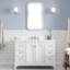 Darreyl 48'' W Single Vanity with Mirror