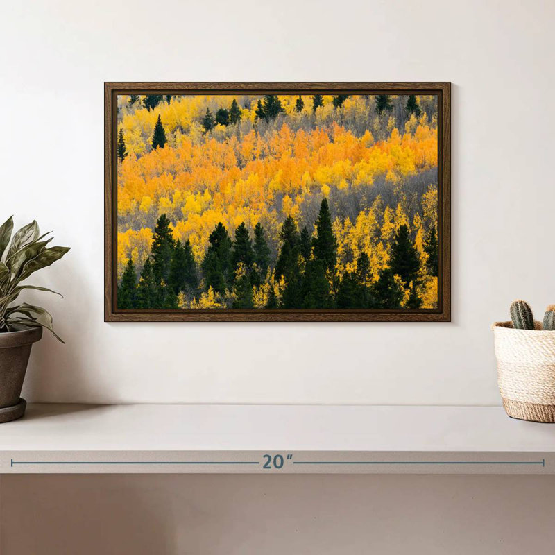 Colorado Aspen Wilderness, 13 po x 9 po, Cadre flottant noyer