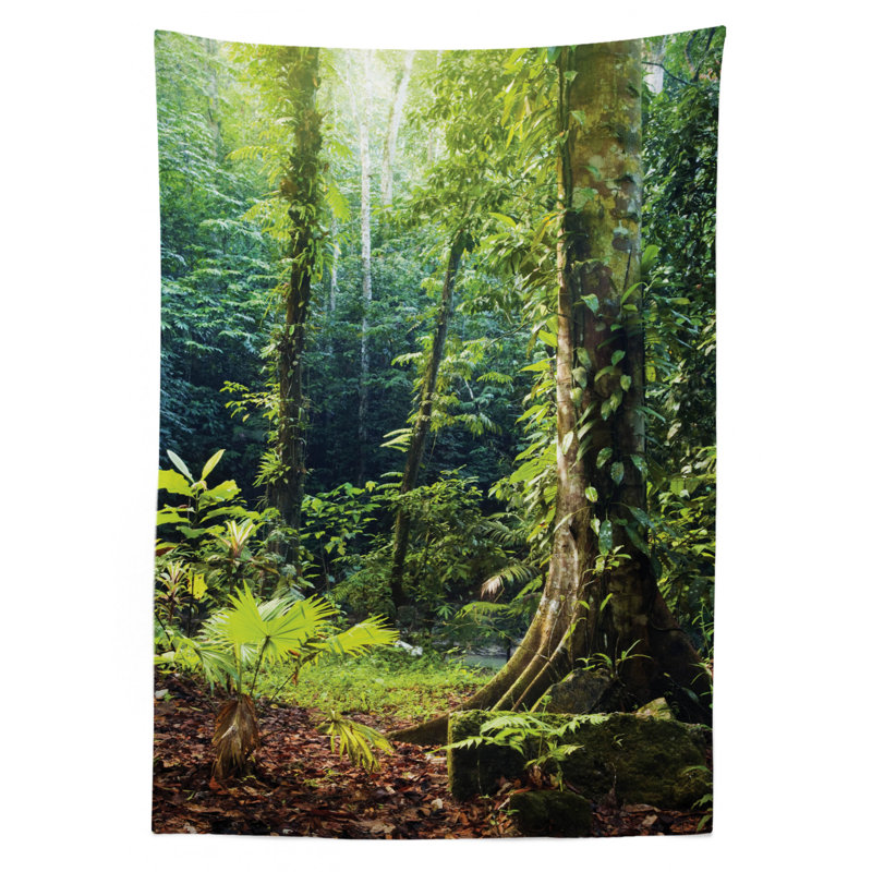 Nappe Rainforest, 90 po x 60 po