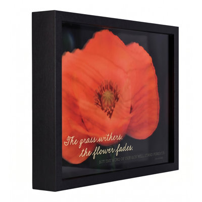 Tableau encadré « L'herbe fane la fleur »